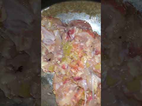 كيف تعلم كلبك الصبر على الطعام