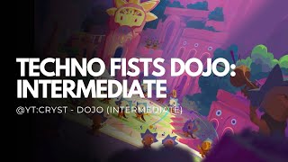 Techno Fists Dojo - Intermediate 
