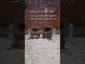 ازاى اعرف القهوة المغشوشة من السليمة