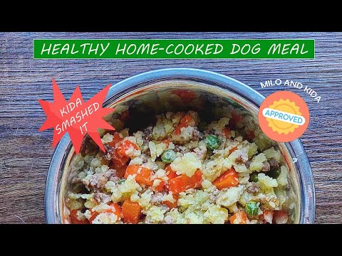 a-dog-meal-to-remember-|-healthy-home-cooked-dog-food