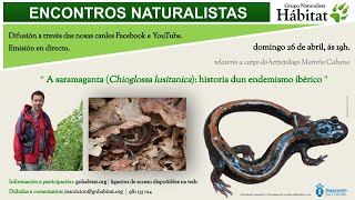 A saramaganta (Chioglossa lusitanica): historia dun endemismo ibérico
