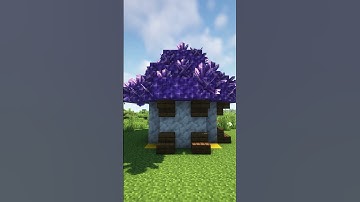 Minecraft build tutorial amethyst house