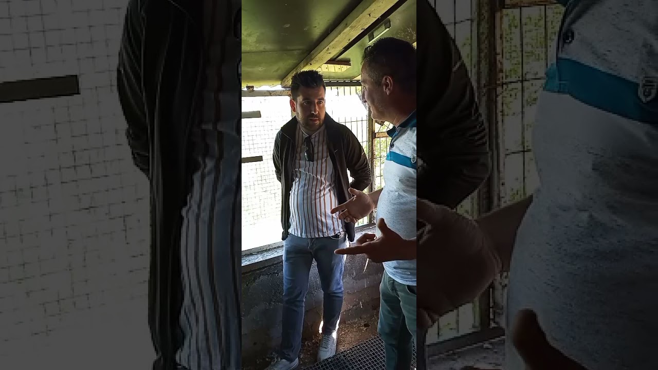 ingiliz tipler kirklareli merkez akın Asveren abimin kumeslerindeyiz