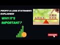 Profit and Loss Statement Explained | Essential P&L Analysis for Your Business