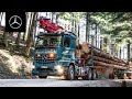 Hauling timber in the black forest  mercedesbenz trucks