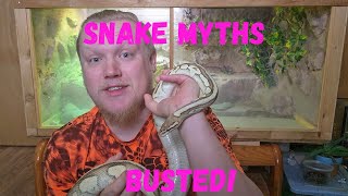 Top 5 Snake Myths DEBUNKED!