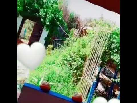 دار الضيافة منتجع الساحل للضيافة مكان يمكن ليكم دجيو دزوروه ونتوما مرتاحين وليداتكم غدي يلقاو رحتوم