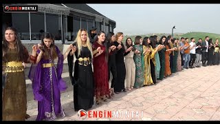 Silopi Balkan Ailesi Yusuf Balkan Düğününden - Part-3 Grupwelatsilopi