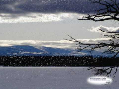 Johnny Horton -  Whispering Pines