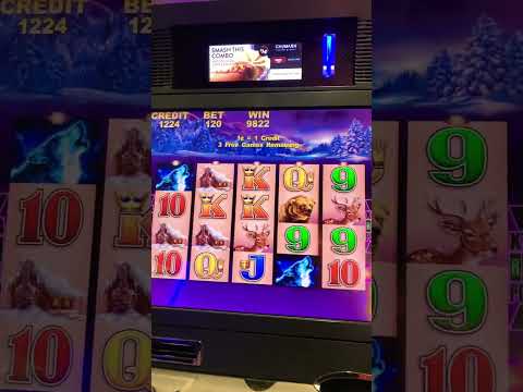Big win ! 88 fortunes slot machine