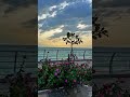 New🏝️💕lyrics text video Watsapp short song reels video #viral #trending #love #reels.