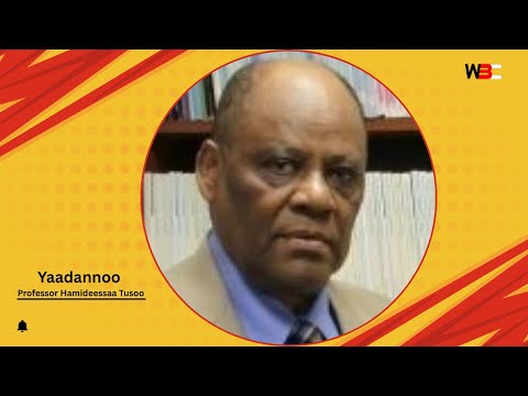 Seenaa Fi Yaadannoo Professor Hamideessaa Tusoo