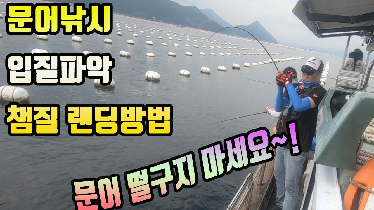 문어낚시 입질파악 챔질 랜딩 방법/문어탐구생활 1강