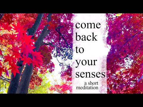 Come Back To