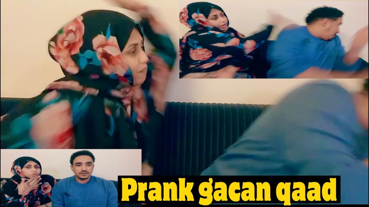 PRANKA MUNIIRA EEY IIGU GACAN QAADAY MASEEYR DARTIIS DAAWO ILAA DHAMAADKA