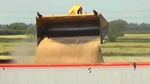 JCB Loading Grain Lorries