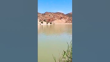 سورة العاديات برواية ورش عن نافع قراءة مثقنة