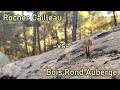 Font Fun Rocher Cailleau Vs Bois Rond 6B 6C Ish mp3