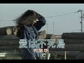 (カラオケ) 愛は不死鳥 / 布施明