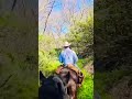 Cabalgata en la sierra #viral #cabalgata #caballos #horse #zacatecas