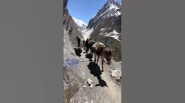 Amarnath Yatra 2025 