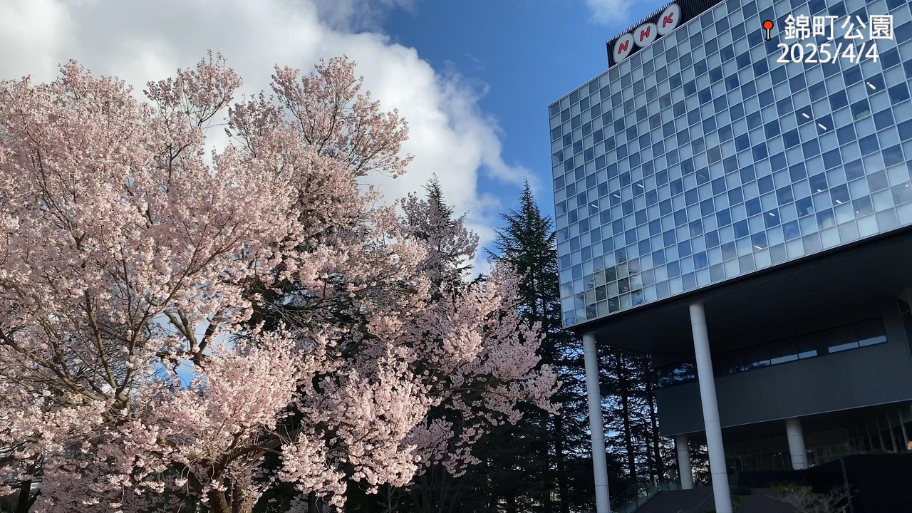 Yoyo&Sandy-2025年日本賞櫻之旅🌸~從九州玩到東北 第2集-山口+仙台篇