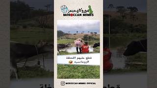 Moroccan Memes Official - Short Xix