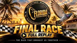 🏆 Florida Pigeon Derby Final Race | The Official Recap & Full Replay
