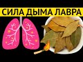 ЛИСТЬЯ ЖИЗНИ! Дым 2 ЛИСТКОВ ЛАВРА и организм как Новый. Врачи в шоке!