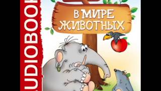2000835 02 Аудиокнига. Бульба Е.В. 2000835 02 Аудиокнига. Бульба Е.В.