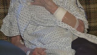 Raccoon attacks elderly woman in own home