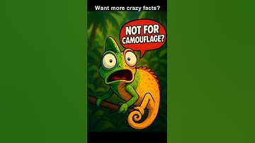 Chameleons Don’t Change Color for Camouflage?! 🦎💡 #mindblown
