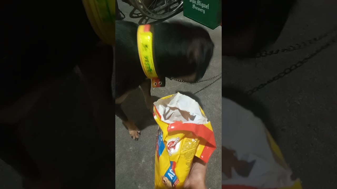 #subscribetomyyoutubechannel