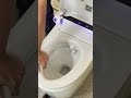 Intelligent Toilet Smart WC With Bidet Wash Function Seat Heating Auto Open Close Very Convenient