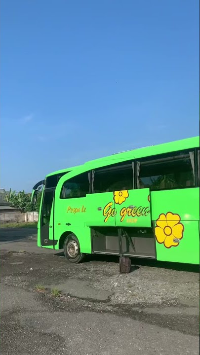 My recap 2021 VIral, tranding stories, contoh video simpel dan keren