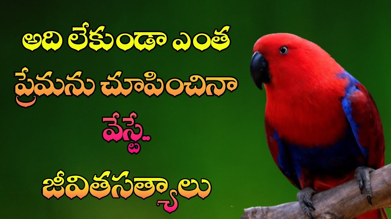 జీవిత సత్యాలు #333 |మంచి మాటలు|Inspirational quotes|Motivational quotes|సూక్తులు|Telugu quotes