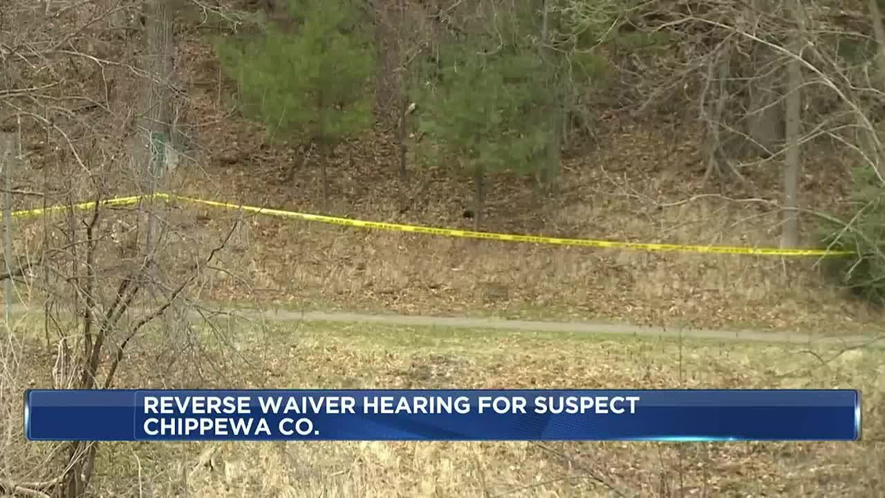 Testimony continues in Lily Peters case - YouTube