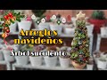 ÁRBOL DE NAVIDAD CON SUCULENTAS 🌲 | Jardines by Angie