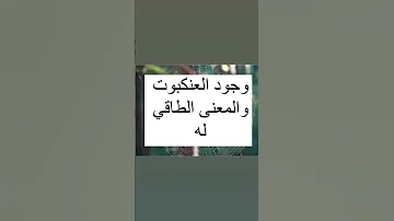 اسباب وجود العنكبوت طاقيا طاقه 