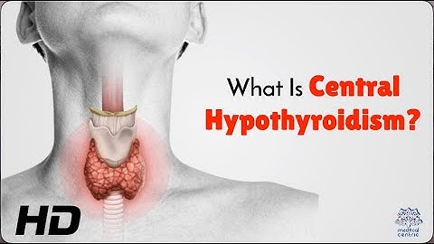 Diagnosing Central Hypothyroidism: What Makes It Different?