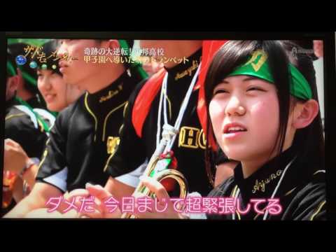 東邦高校野球部応援ドキュメント【高校野球ブラバン】