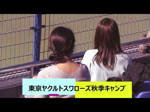 東京ヤクルトスワローズ秋季キャンプ2018@松山②(①よりちょっと長め)