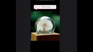 Possible to make a dandelion specimen into Epoxy resin ?