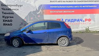 видео: Обзор перед разбором Fiat Punto картинка: Обзор перед разбором Fiat Punto