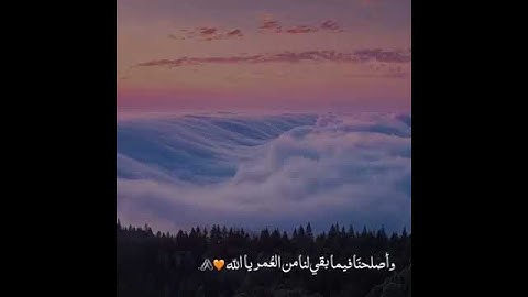 حالات واتس اب دينيه (تلاوة مؤثره +الشيخ وديع اليمني)💜