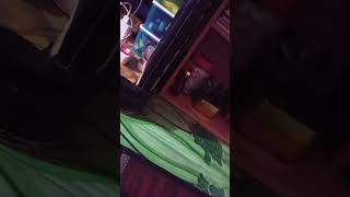 Download Lagu TESTING MP3