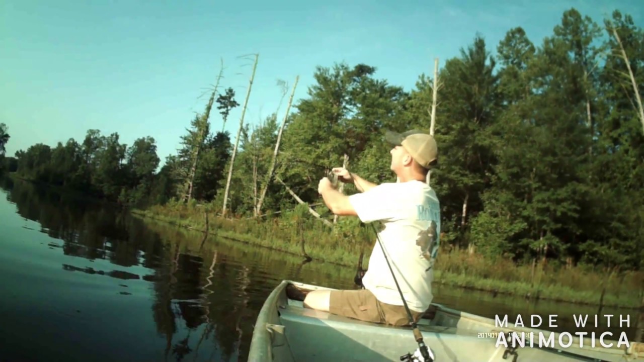Pond fishing North Carolina August 2018 Largemouth Bass Wyrick's