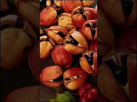 Exotic Fruites - Pt.27 - Ackee