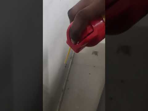 cockroaches killing with
