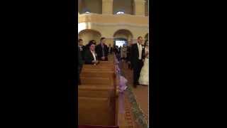 Video thumbnail of "VIS Damjan pjeva na vjenčanju "O dođite s hvalama""